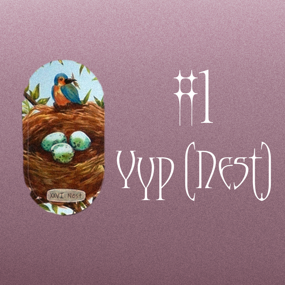 #1 Үүр [Nest] (Та Болон Таны Twin Flame ийн Амьдралын Зорилго Юу Вэ?  🦋🌟🦄)