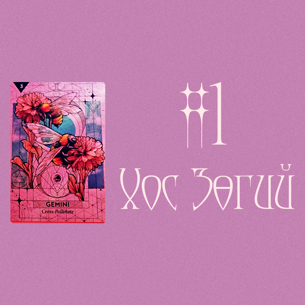 #1 Хос Зөгий (For Singles!🤍 Хайр дурлалын зөвлөгөө💕💖)