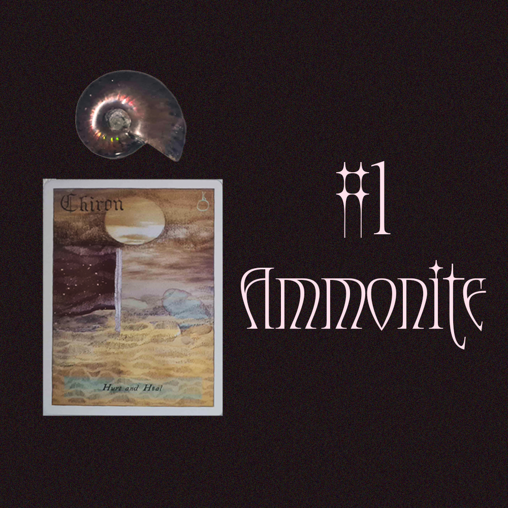 #1 Ammonite (Тэр Танд Хайртай Юу? + Түүний Дараагийн Алхам)