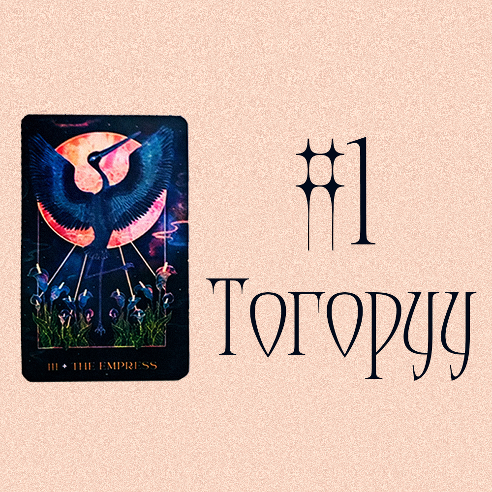 #1 Тогоруу (Энэ асуудлын сахиусны зөвлөгөө🌺🌪️⚡)