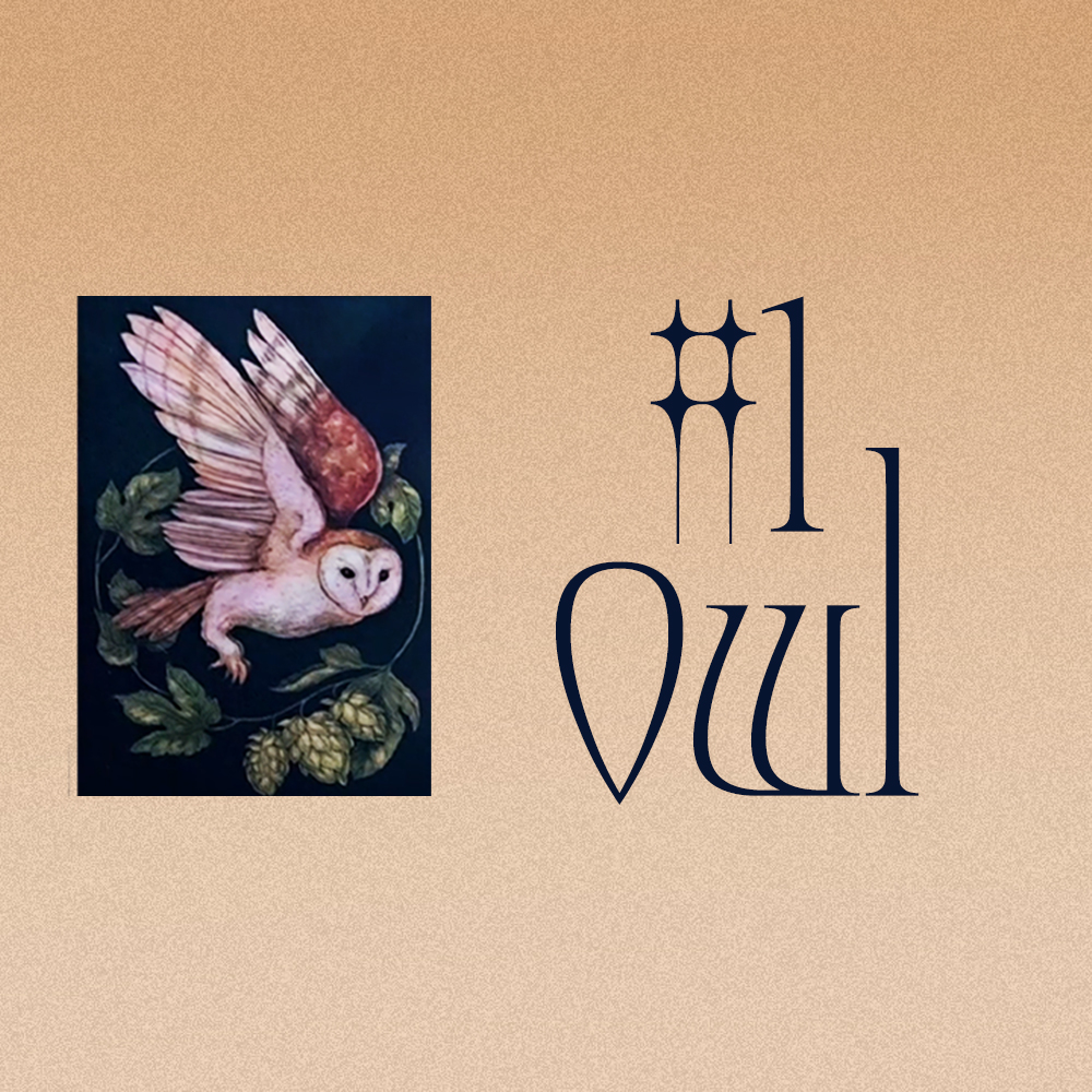 #1 Owl (Энэ харилцааны төлөв? 💞🌦️🔥)