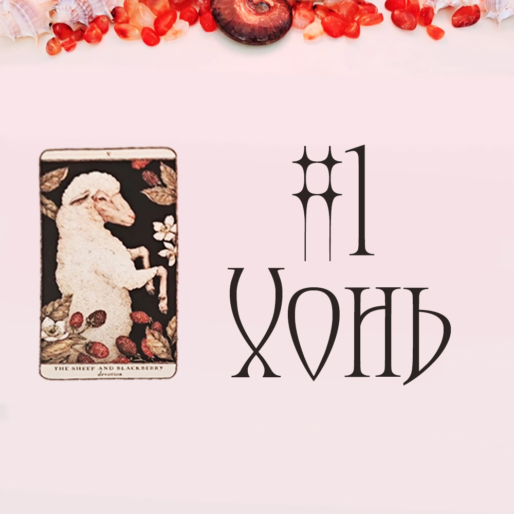 #1 Хонь (Энэ харилцаанд юу болохгүй байна вэ?  💔 ❌ 🌶️)