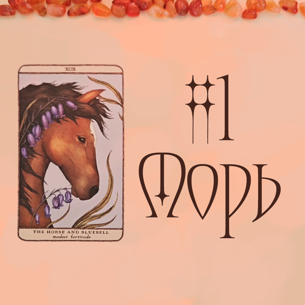 #1 Морь (Ex нь таныг боддог уу? Та хоёрын харилцаанд юу тохиосон бэ?👀🙄💭)