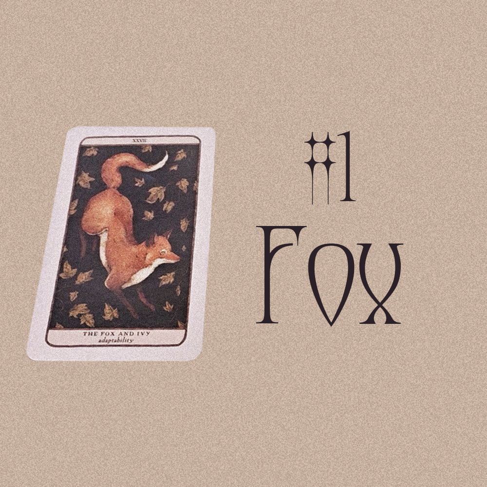 #1 Fox (10 сард танд юу тохиох вэ? 🍂🎃🧡)