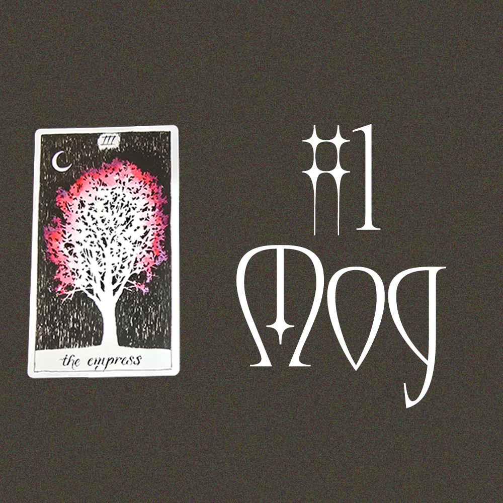 #1 Мод (Ирэх Сарын Төлөв?🌹🌙🍀)