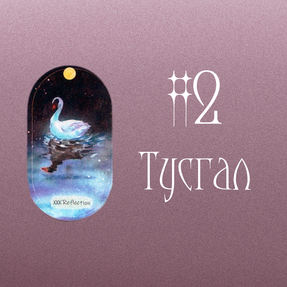#2 Тусгал [Reflections] (Та Болон Таны Twin Flame ийн Амьдралын Зорилго Юу Вэ?  🦋🌟🦄)