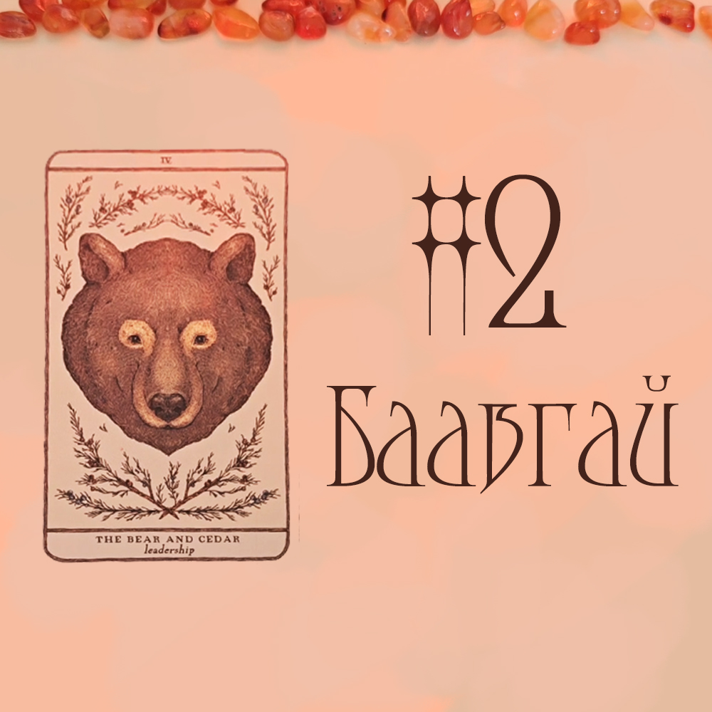 #2 Баавгай (Ex нь таныг боддог уу? Та хоёрын харилцаанд юу тохиосон бэ?👀🙄💭)