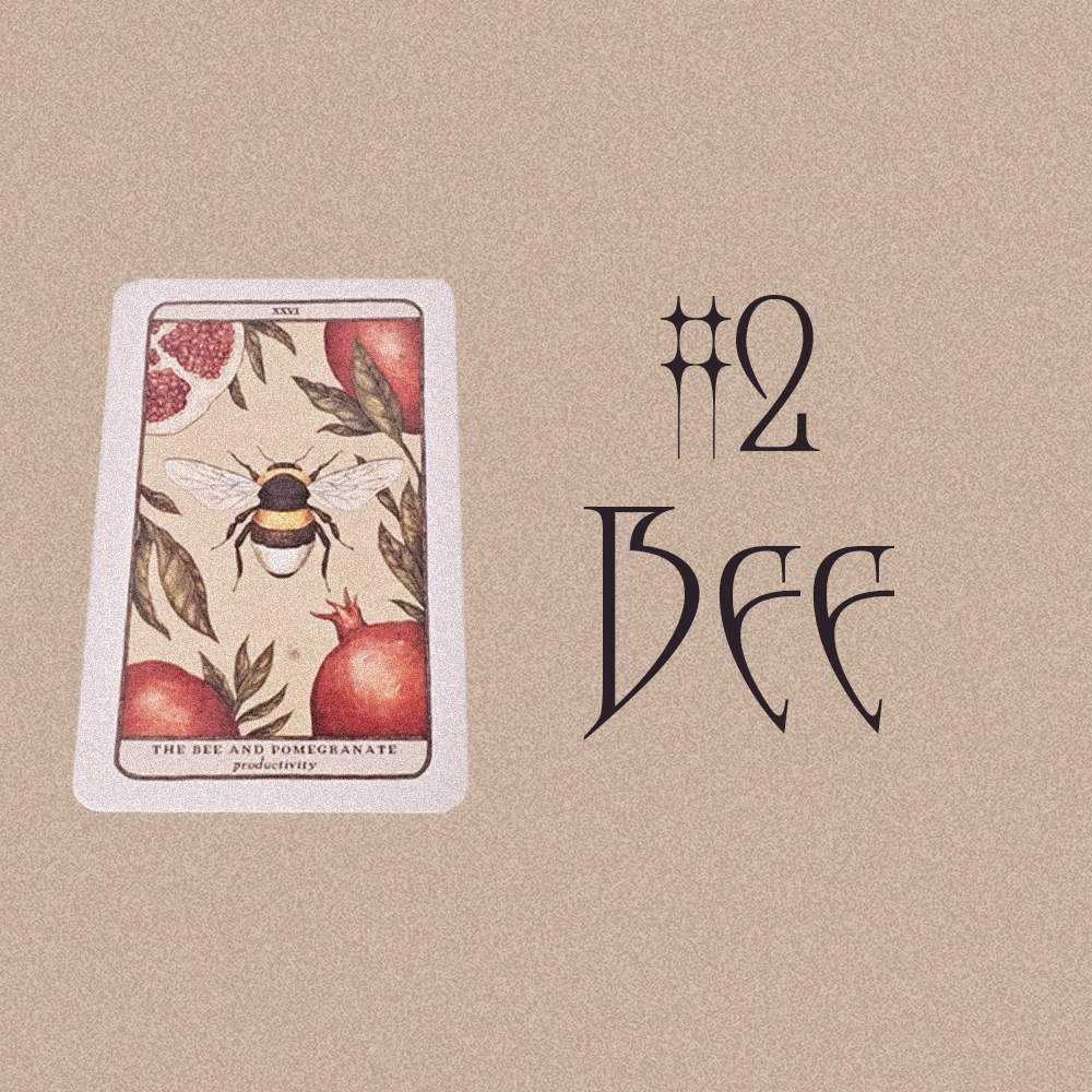 #2 Bee (10 сард танд юу тохиох вэ? 🍂🎃🧡)