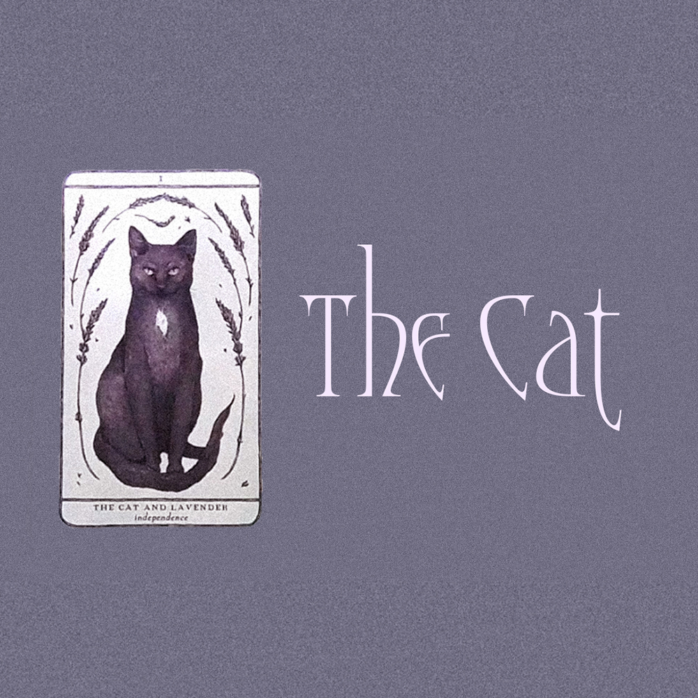 #2 Cat (Таны Долоон Сарын Төлөв? ✨👰💐)