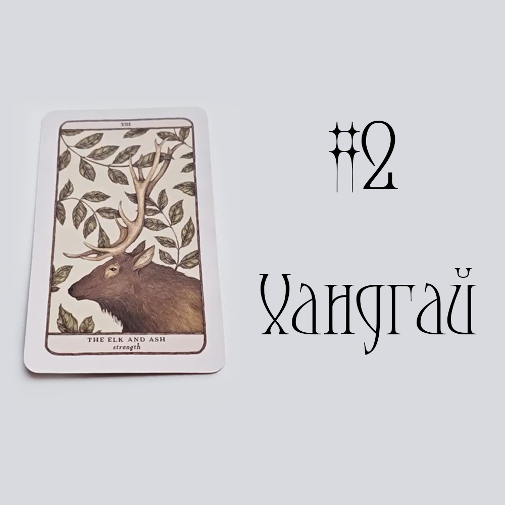#2 Хандгай ( Энэ харилцааны одоогийн байдал? 🦢💌👁️‍🗨️ )
