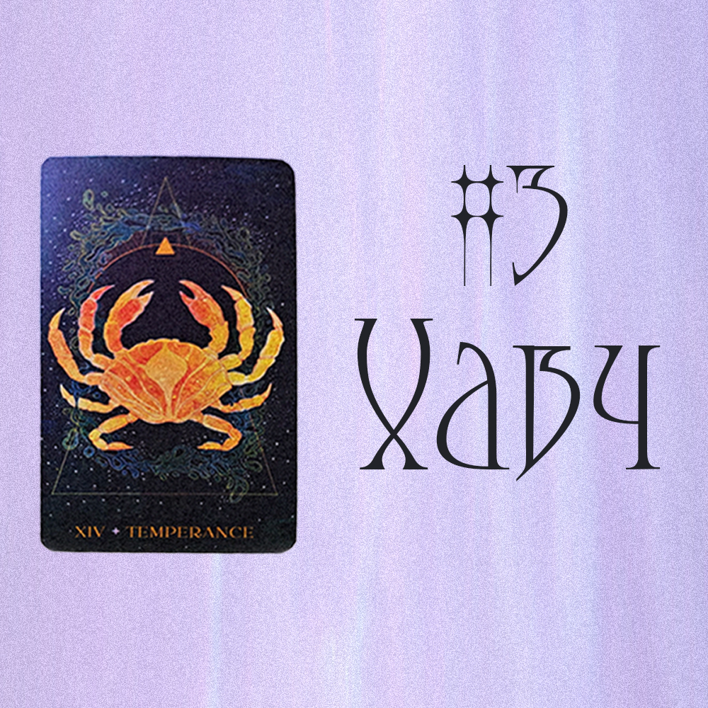#3 Хавч (Хэн танруу чиглэж байна вэ?💐🦋🌼)