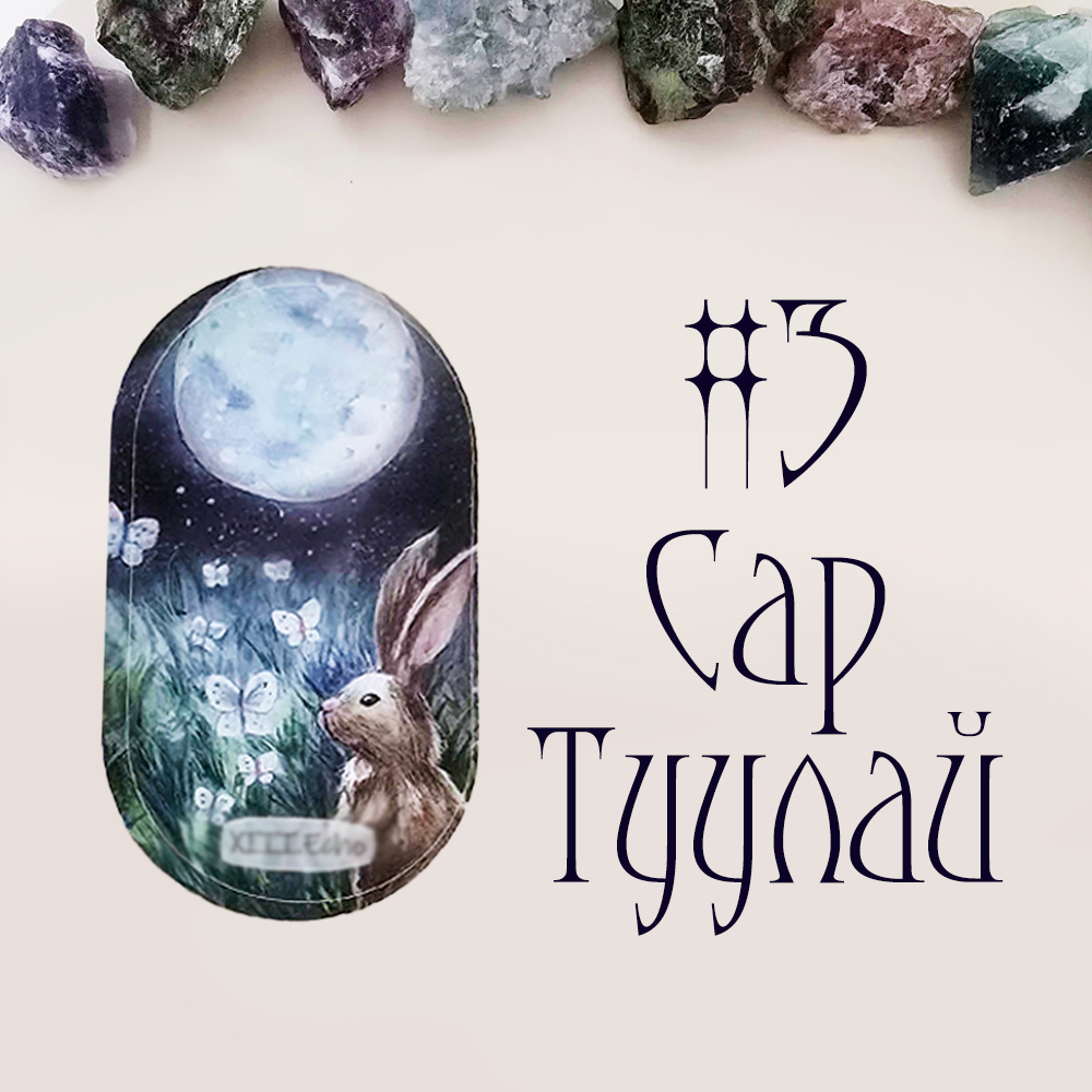 #3 Сар Туулай (Заяны Ханийн Талаар Бүх Мэдээлэл!💖💍🔔)