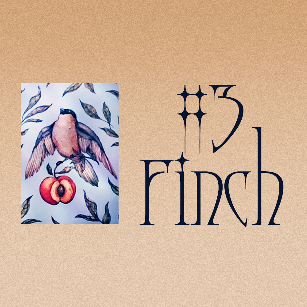 #3 Finch (Энэ харилцааны төлөв? 💞🌦️🔥)