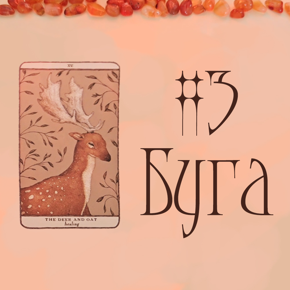 #3 Буга (Ex нь таныг боддог уу? Та хоёрын харилцаанд юу тохиосон бэ?👀🙄💭)