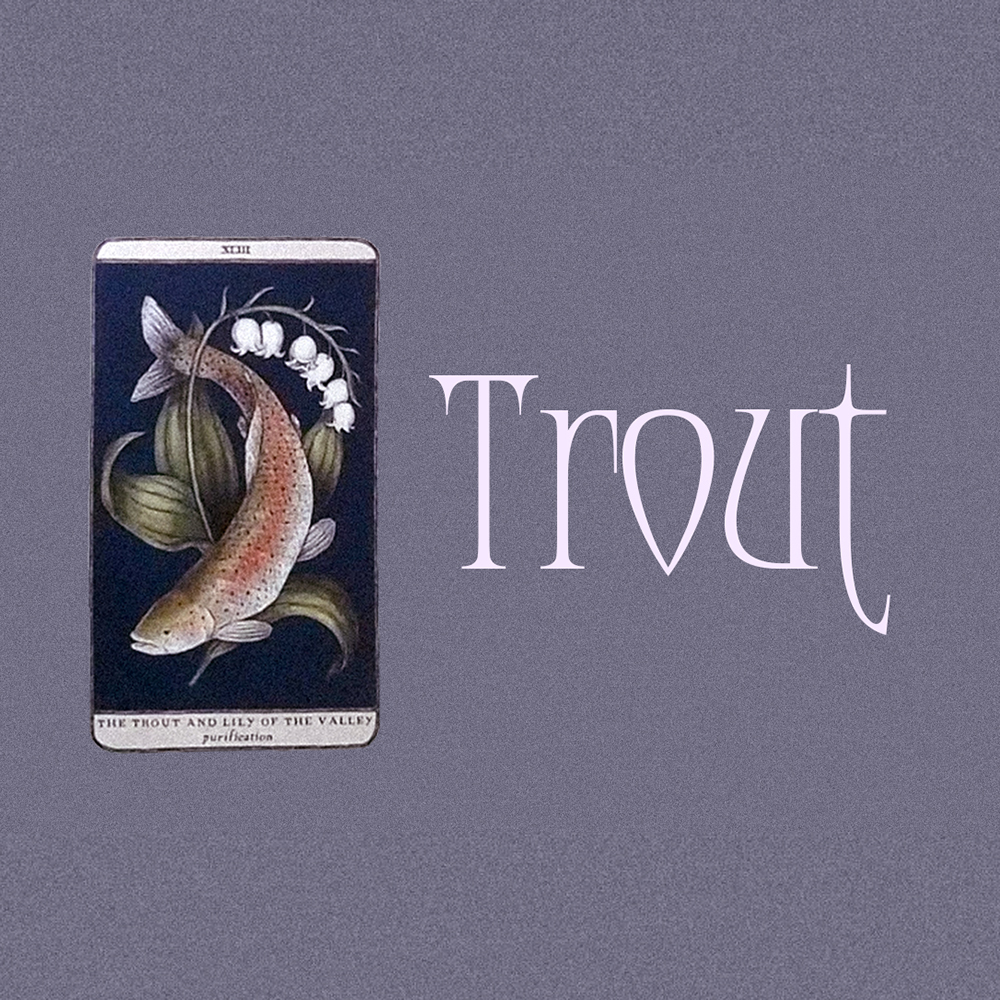 #3 Trout (Таны Долоон Сарын Төлөв? ✨👰💐)