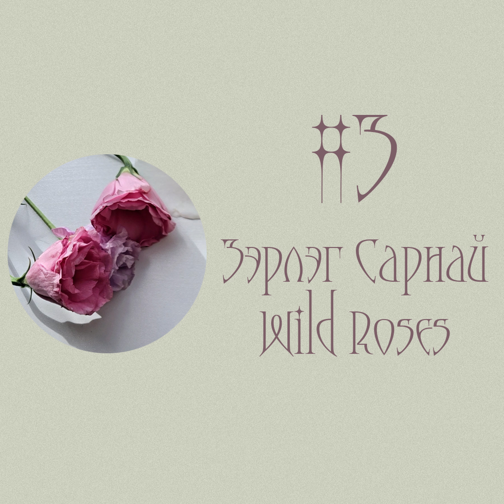 #3 Зэрлэг Сарнай / Wild Roses (Таны Дараагийн Болзоо? 💐📅💏)