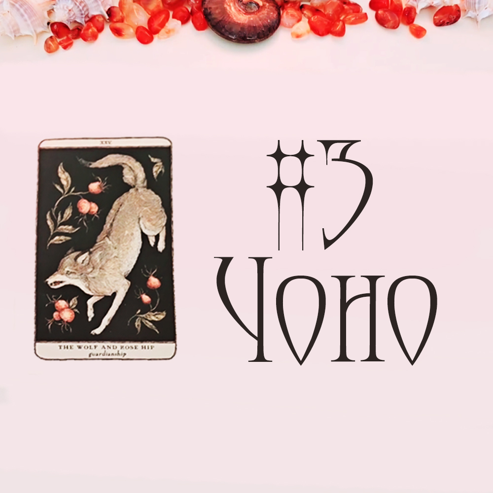 #3 Чоно (Энэ харилцаанд юу болохгүй байна вэ?  💔 ❌ 🌶️)
