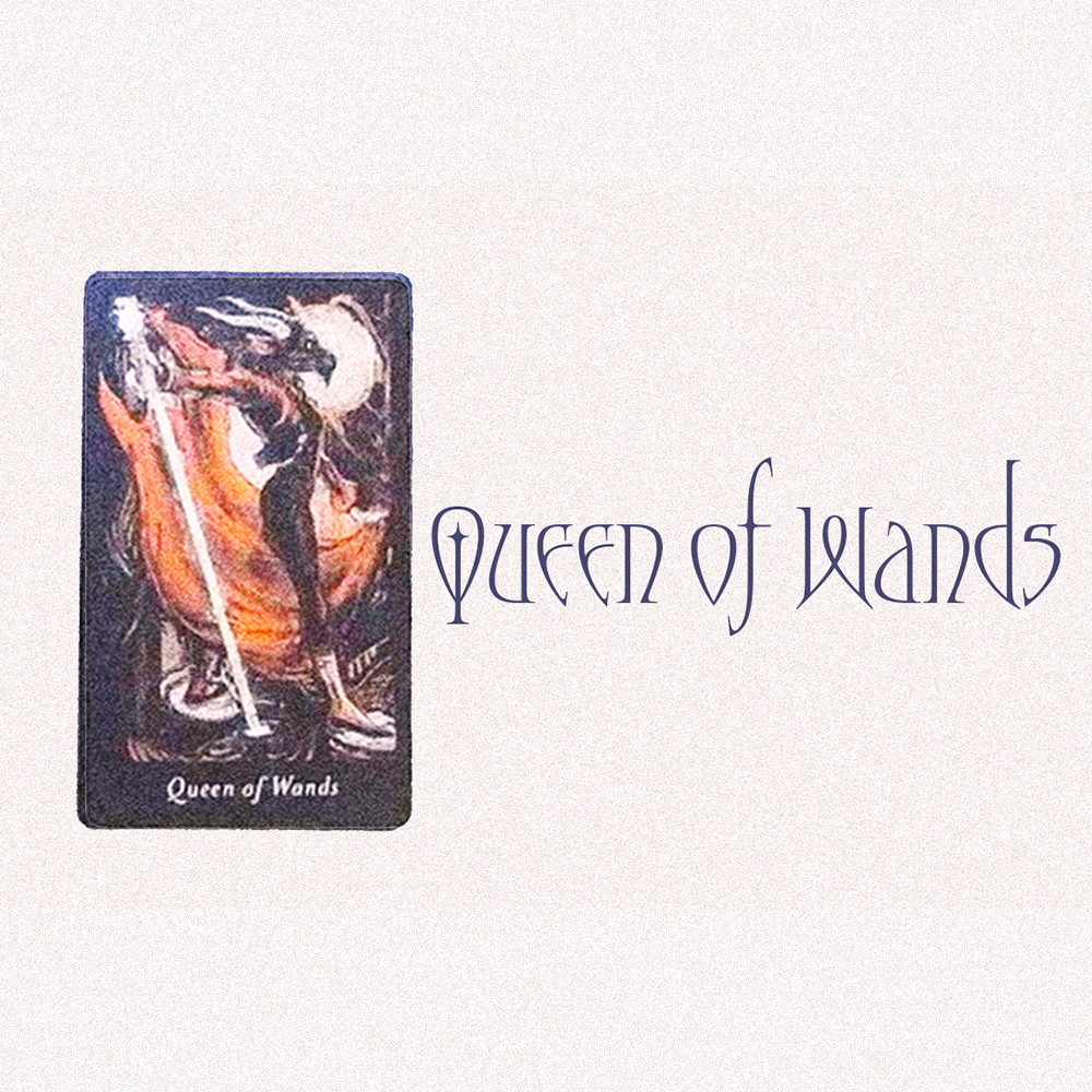 #3 Queen Of Wands (Тэр танд хайртай юу? 😍🧁😭)