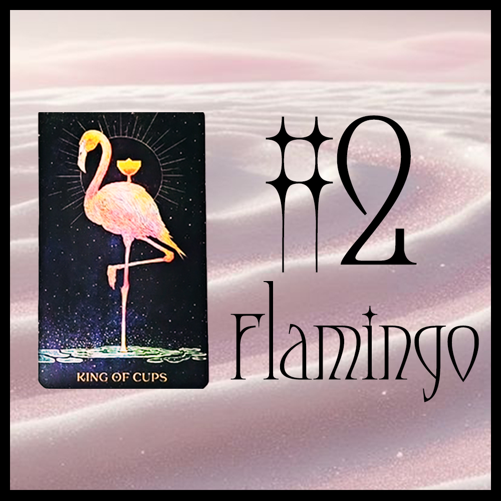 #2 Flamingo (Яг одоо заавал Сонсох ёстой зүйл! 🦮 🦩 🐬 + Таны одоогийн цикл )