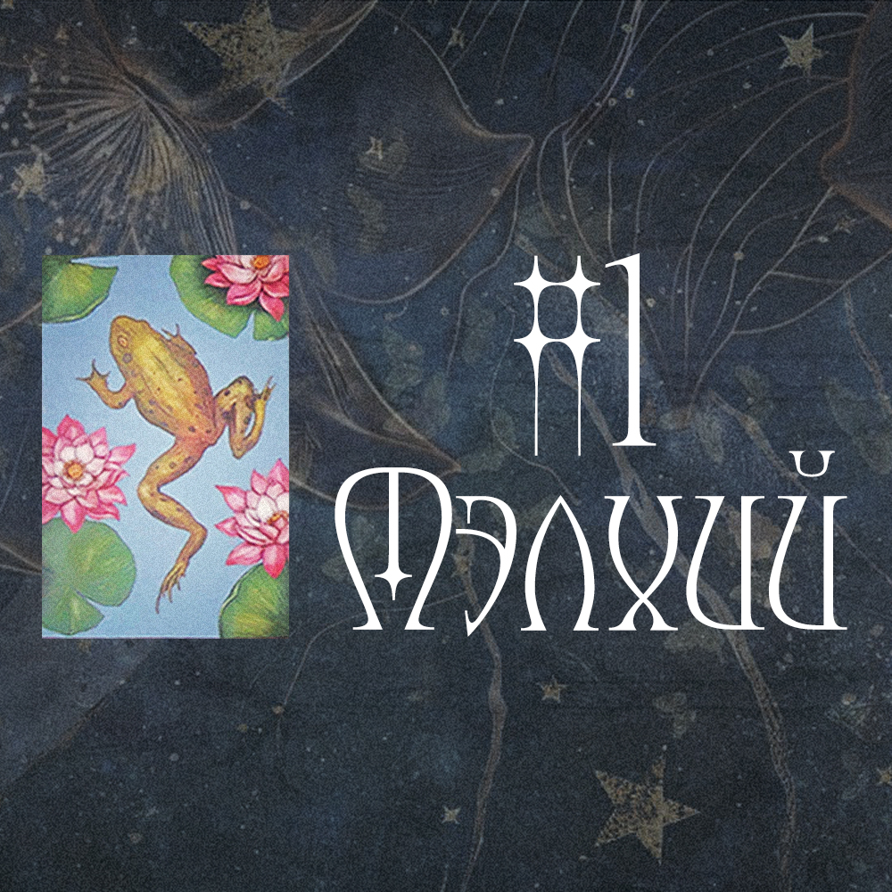 #1 Мэлхий (Тэр танд хайртай юу?)