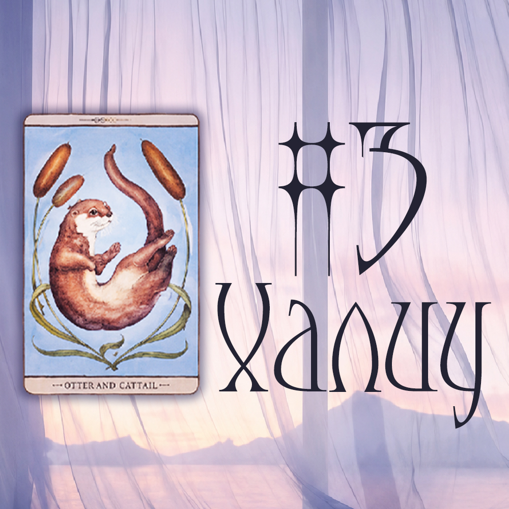 #3 Халиу (Түүний зүрхний чин үнэн юу вэ? 💗🔮👼)