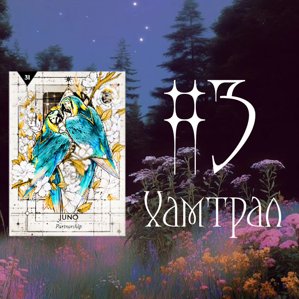 #3 Хамтрал (Ирэх Улирал Хайрын Талаар Танд Юуг Илчлэх Вэ? 🌺 💍 💙) 