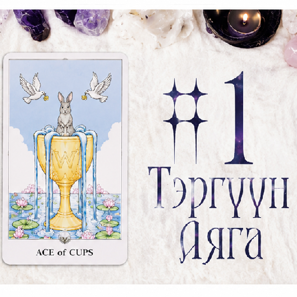 #1 Тэргүүн Аяга (For Singles! Сахиуснууд тань таныг яагаад ганц бие байлгаж байна вэ?💗🐰🍥)