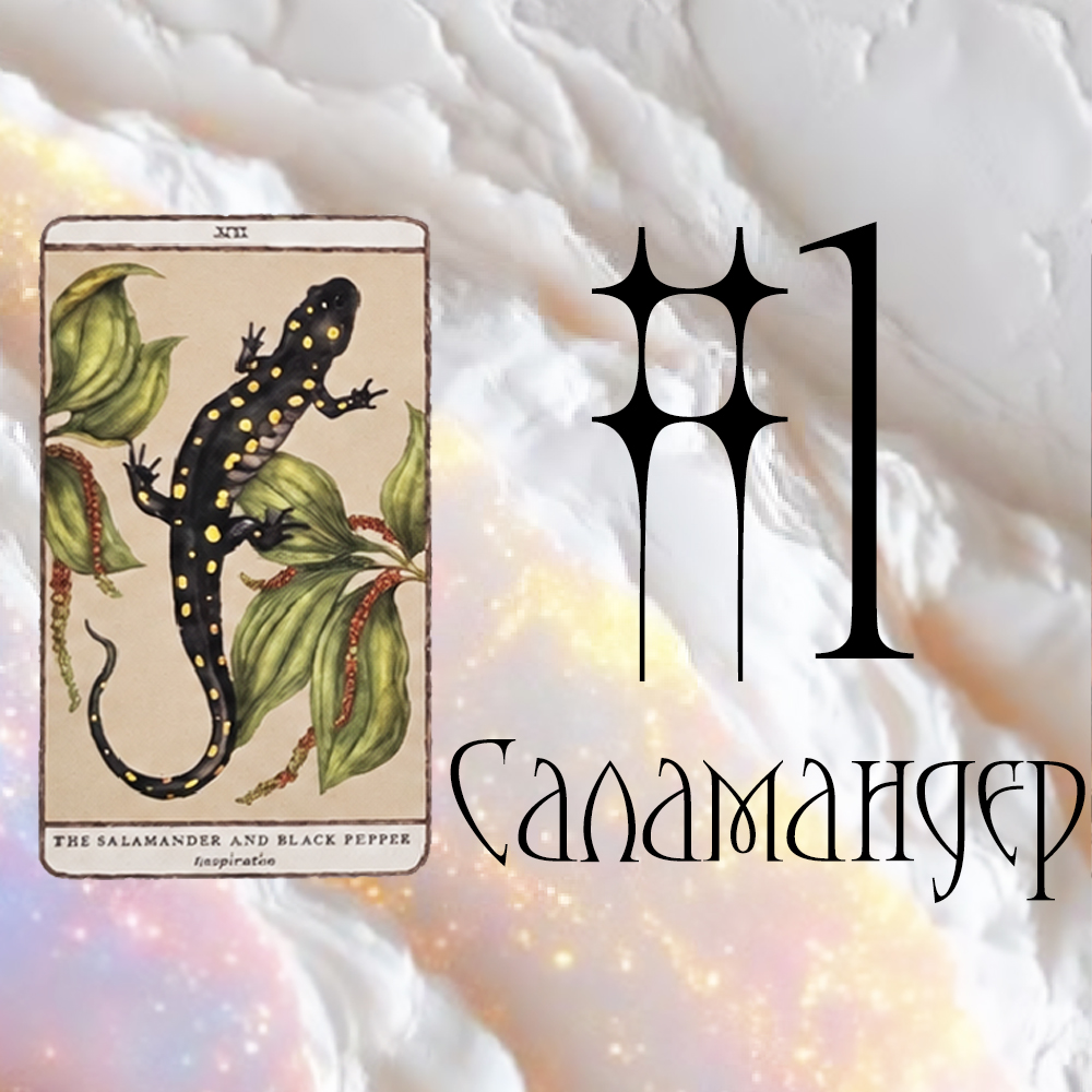 #1 Саламандер (Тэр яагад таны хүссэн зүйлийг өгөхгүй байна вэ? 😵 🦎 🌌)