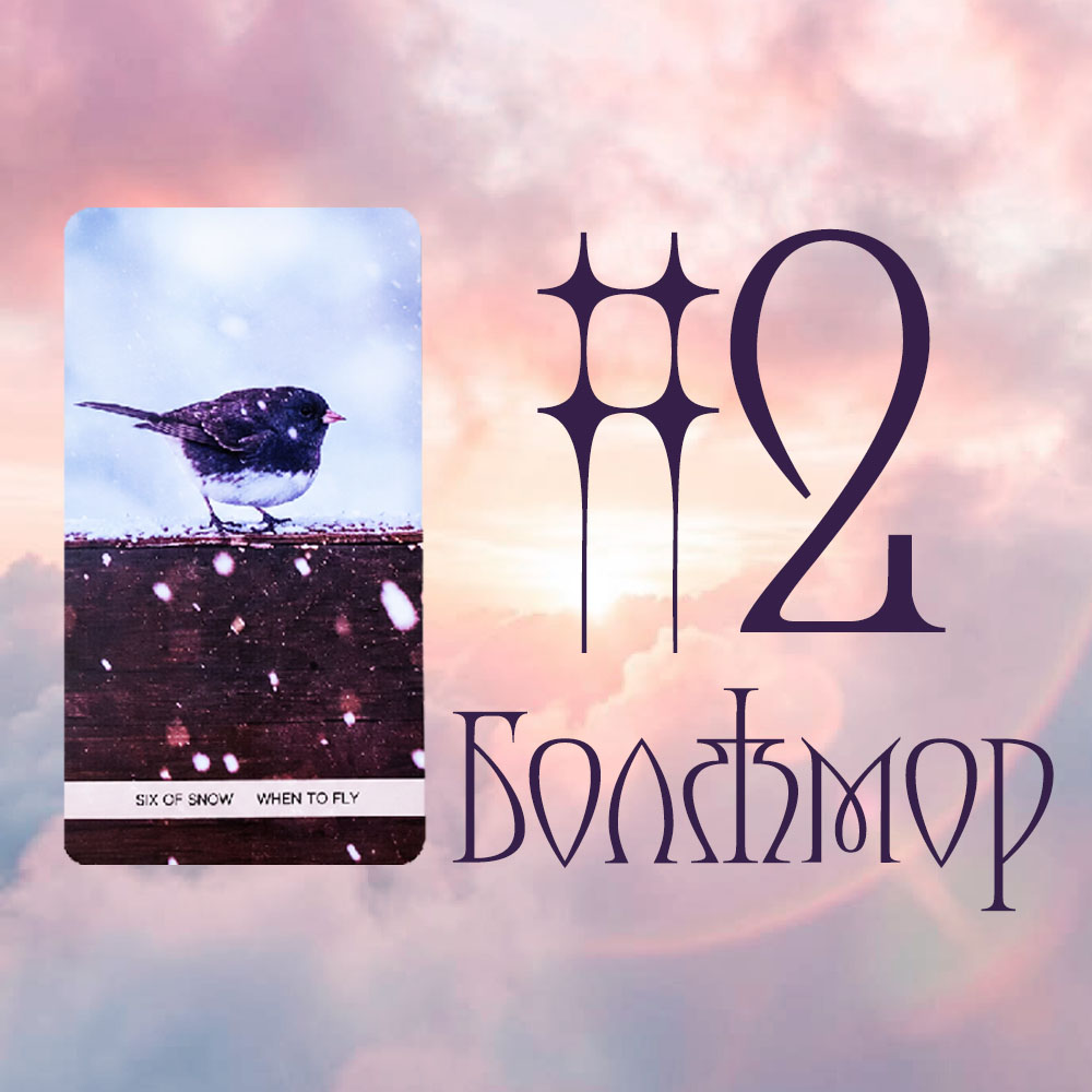 #2 Болжмор (Энэ хүн танд ээлтэй юу? ❄️🐦🌿)