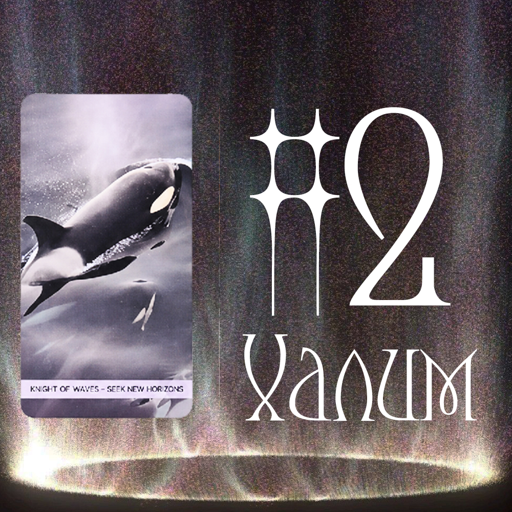 #2 Халим (Та Хараалд Өртсөн үү? 🧿🌑🌈)