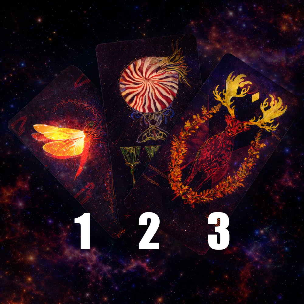 Нэмэлт Уншлага: "Түүний Нууц Мэдрэмж юу вэ???"