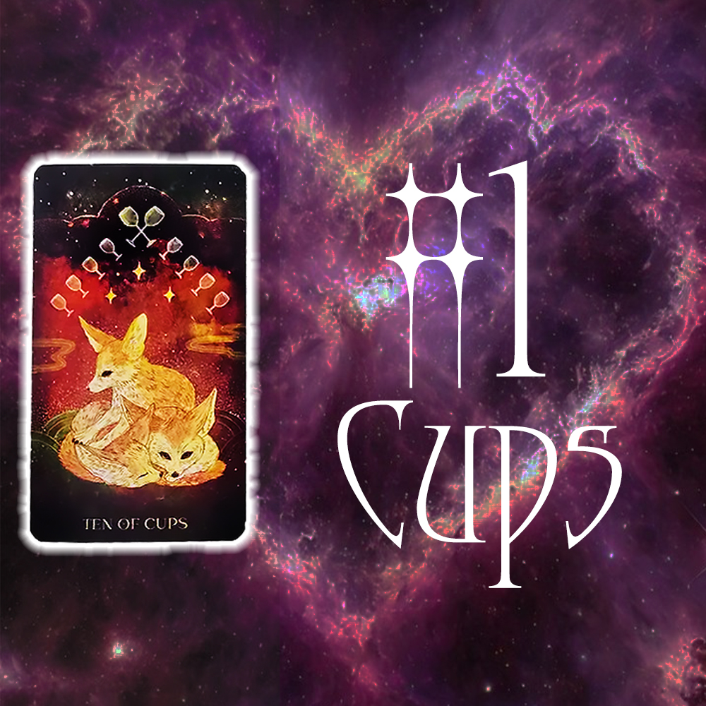 #1 Cups (Таны 12 Сарын Төлөв)