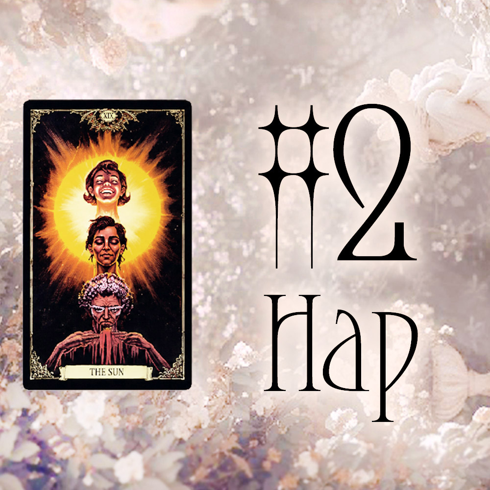 #2 Нар (Таны энэ сонголт зөв сонголт уу?🌳 🌻 🦋)