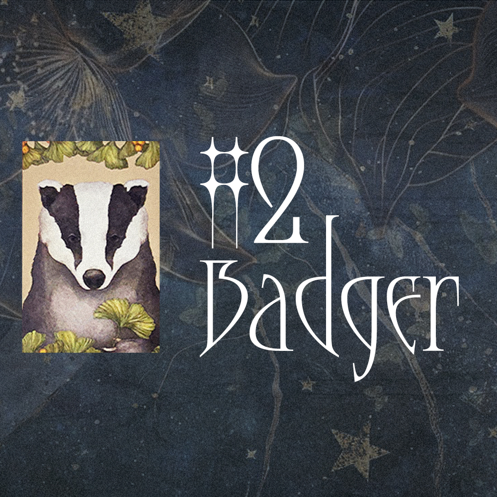 #2 Badger (Тэр танд хайртай юу?)