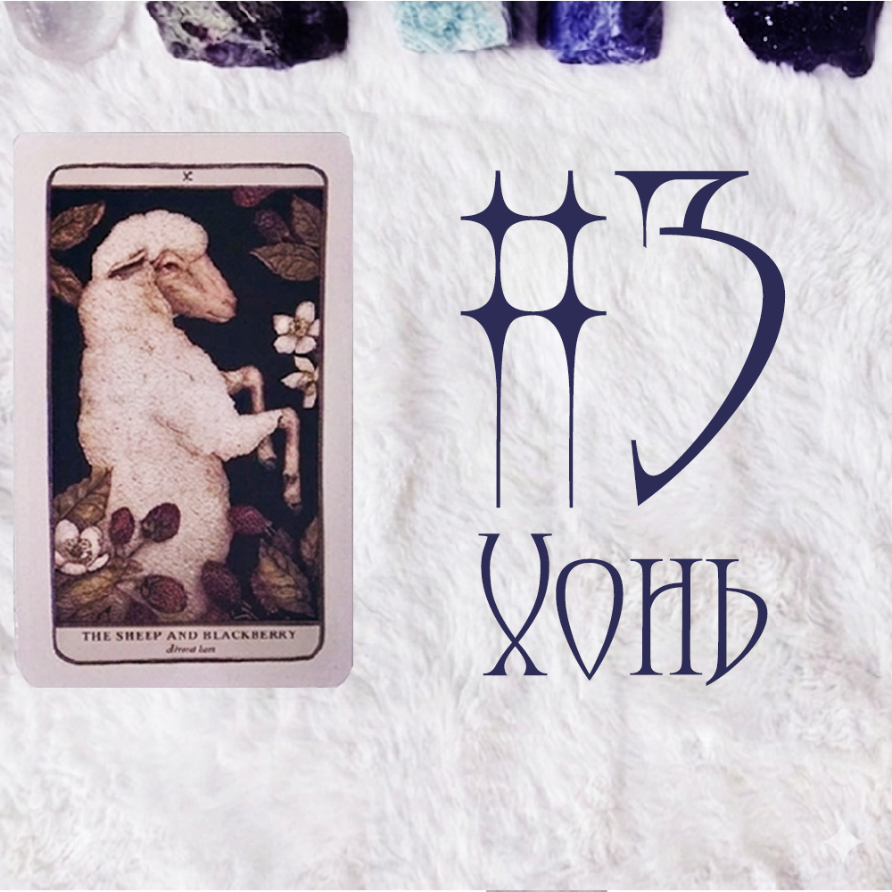 #3 Хонь (Харилцааны Уншлага!👼 🐰 🐏)