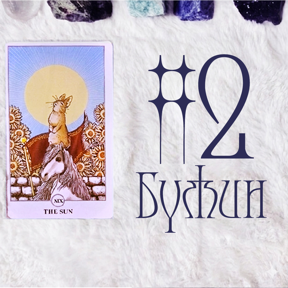 #2 Бүжин (Харилцааны Уншлага!👼 🐰 🐏)