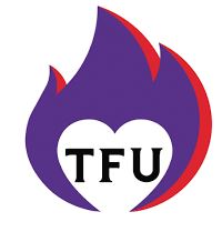 Twin Flames Universe Introductory Course!