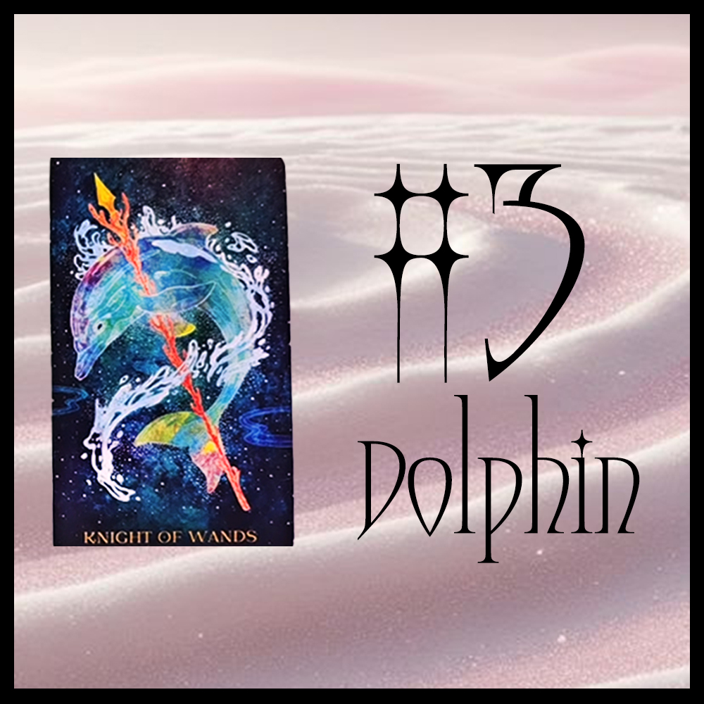 #3 Dolphin (Яг одоо заавал Сонсох ёстой зүйл! 🦮 🦩 🐬 + Таны одоогийн цикл )