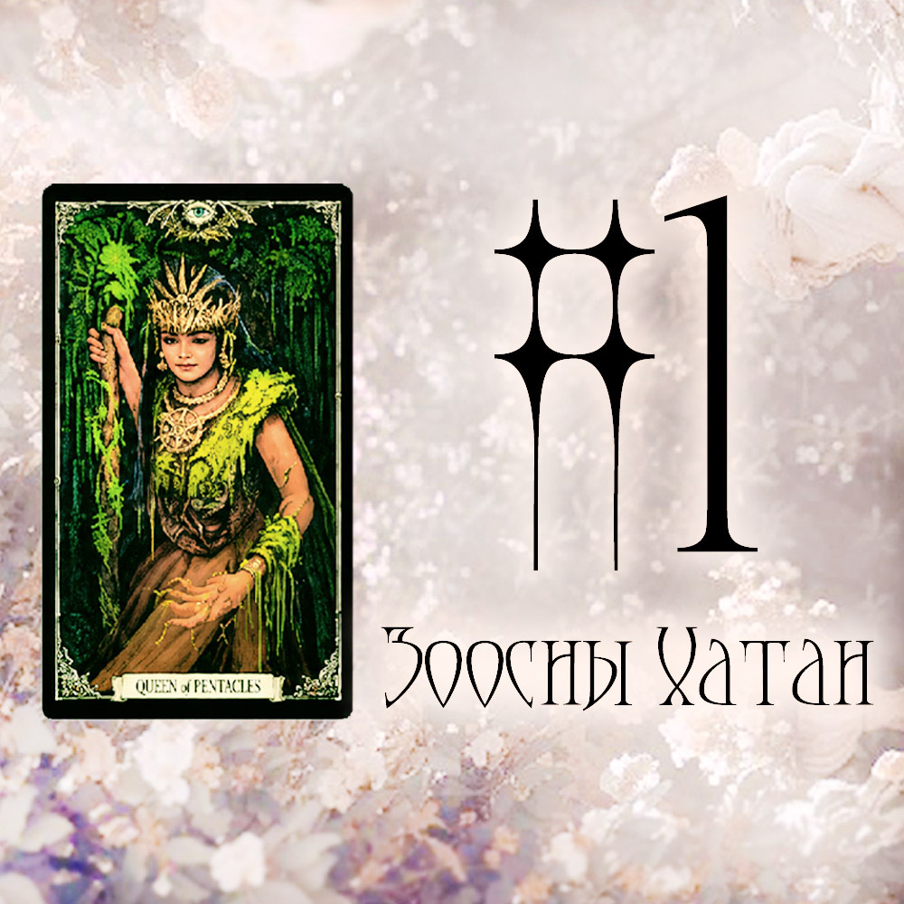 #1 Зоосны Хатан (Таны энэ сонголт зөв сонголт уу?🌳 🌻 🦋)