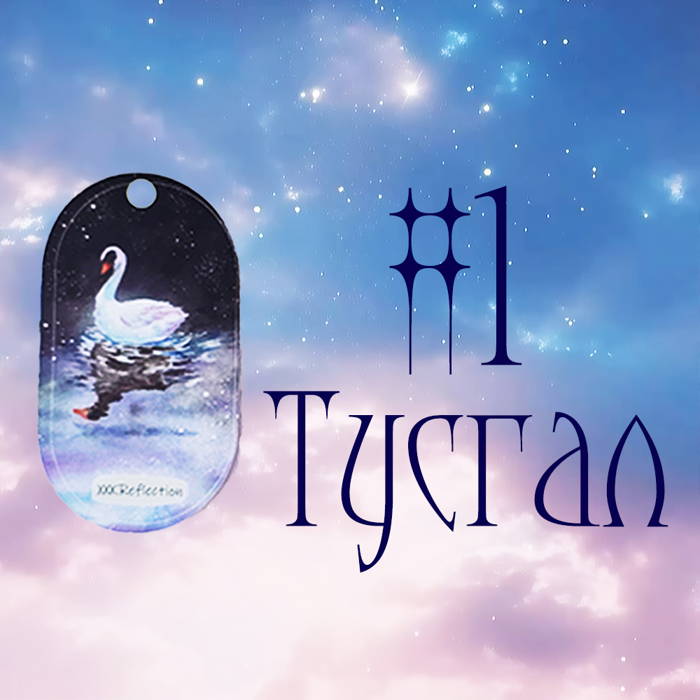 #1 Тусгал (Танд ирж буй Ивээл ба Шагнал 🦢🌙🌺)